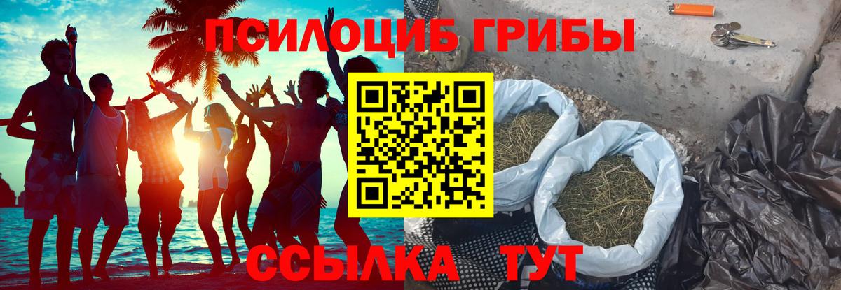 Нягань  Галлюциногенные грибы мицелий  магазин продажи наркотиков  Псилоцибиновые грибы ЛСД  Вход с VPN 